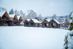 Cottage Hata Zustrich v zimě