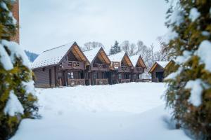 Cottage Hata Zustrich v zimě