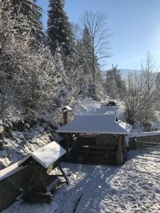 Karpatska Oselia v zimě
