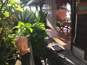 Zahrada ubytování Villa Rose Caraibes
