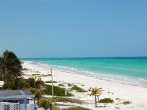 a view of a beach with palm trees and the ocean at Antigua Lodge, 70 m from sandy beach in El Cuyo