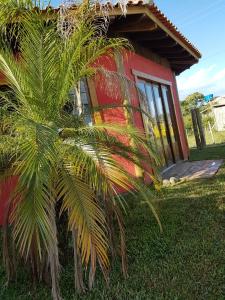 a palm tree in front of a house at Villa Suzana in Praia do Rosa