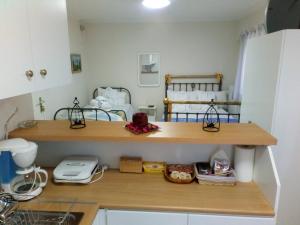 Kuchyň nebo kuchyňský kout v ubytování Villa PANORAMA