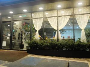 une façade de magasin avec des rideaux blancs et des plantes dans l'établissement Ehwa In Myeongdong, à Séoul