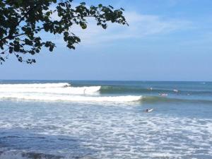 Gallery image of Medewi Surf Villa in Pulukan
