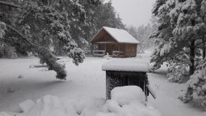 Nature Getaway Holiday Home v zimě