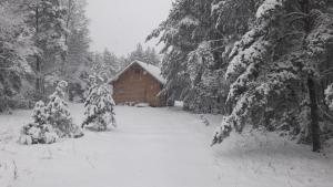 Nature Getaway Holiday Home v zimě