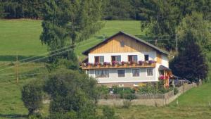 Una casa en una colina con flores. en Ferienwohnung Greim en Sankt Peter am Kammersberg