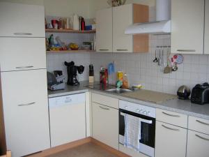 Ferienwohnung Greim的厨房或小厨房