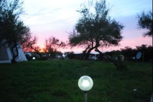 Afbeelding uit fotogalerij van Hotel Mazafran in Zéralda