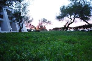 Un jardín fuera de Hotel Mazafran