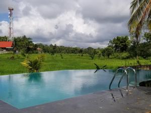 Bazén v ubytování Nelu Villa Sigiriya nebo v jeho okolí + 37 fotografií