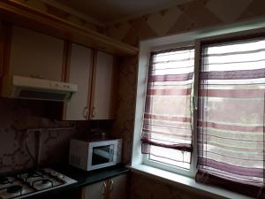 a kitchen with a window with a microwave and a stove at Nebesnoyi Sotni in Zhytomyr