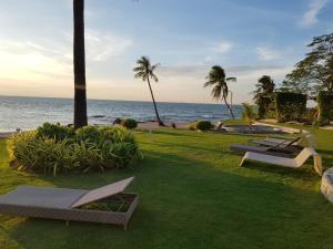 a group of benches sitting on the grass near the ocean at Beach Front Condominium at The Palm Wongamat in North Pattaya