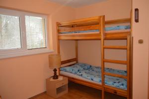 Poschodová posteľ alebo postele v izbe v ubytovaní Chata Adrian Slovak Paradise