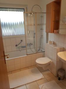 een badkamer met een douche, een toilet en een wastafel bij Ferienhaus "Am Gehre" in Bad Berleburg