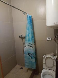La salle de bains est pourvue d'un rideau de douche et de toilettes. dans l'établissement Apartment on Stepana Bandery 37 Постійне електропостачання, à Lviv