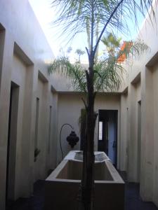 una habitación con un árbol en el medio de un edificio en Riad La Villa & Spa en El Jadida