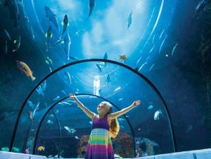 een klein meisje dat voor een aquarium staat bij Hotel Le Must in Saint-Marc-des-Carrières