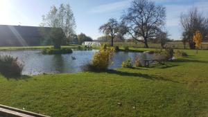 un étang avec des canards au milieu d'un parc dans l'établissement chambre coin nature, à Fromelles