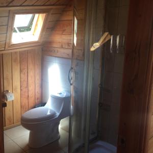 uma casa de banho com um WC e um chuveiro em Karü Domos del Fuy em Neltume