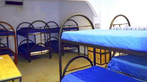two bunk beds in a room with a blue wall at La Oveja Tamarindo Hostel & Surf Camp in Tamarindo
