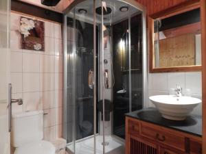 a bathroom with a shower and a toilet and a sink at Pyrenées Emotions, Eco-responsables, Nature, Sports Aventures in Malvézie +68 photos