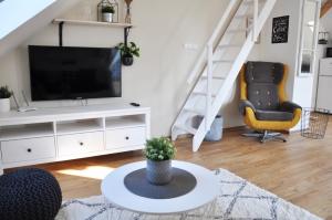 TV a/nebo společenská místnost v ubytování Vintage apartments