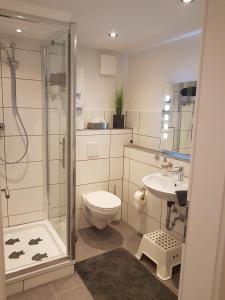 a bathroom with a shower and a toilet and a sink at Fewo Hoheneggelsen in Söhlde