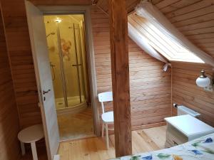 Koupelna v ubytování Guest House Ziedkalni
