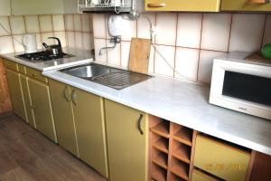 a kitchen with a sink and a microwave at Bylinka in Trzcińsko Zdrój