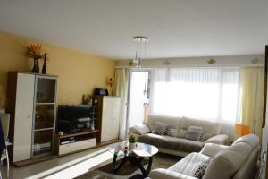 TV a/nebo společenská místnost v ubytování Apartment Viktoria