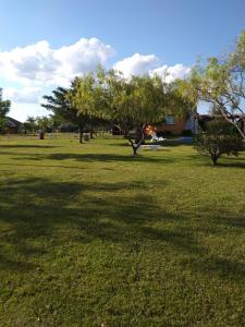 park z drzewami i dużym polem trawy w obiekcie Termas Sol Y Luna w mieście Termas del Daymán
