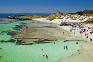 
a beach filled with lots of people on a sunny day at Rottnest Island Authority in Rottnest Island
