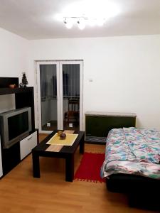 Gallery image of PANApartment in Niš