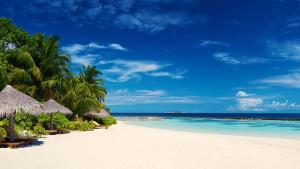 una playa con sillas y sombrillas y el océano en Corales Punta Cana, en Punta Cana