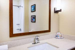 Koupelna v ubytování Comfort Inn & Suites Niagara Falls Blvd USA