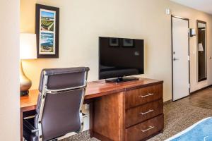 TV a/nebo společenská místnost v ubytování Comfort Inn & Suites Niagara Falls Blvd USA