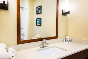 Koupelna v ubytování Comfort Inn & Suites Niagara Falls Blvd USA