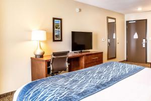 TV a/nebo společenská místnost v ubytování Comfort Inn & Suites Niagara Falls Blvd USA