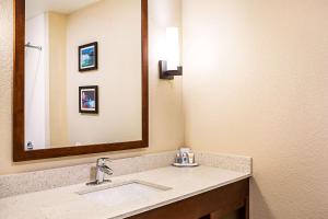 Koupelna v ubytování Comfort Inn & Suites Niagara Falls Blvd USA