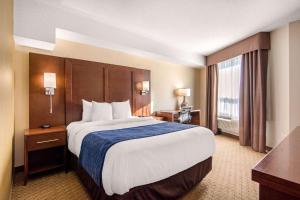 
A bed or beds in a room at Comfort Inn & Suites Medicine Hat

