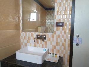 een badkamer met een wastafel en een spiegel bij Hotel Ravine Palace in Lansdowne
