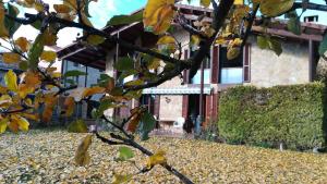 Fotografie z fotogalerie ubytování LA PRESUMIDA DE ALCOR Sajazarra Casa Vacacional v destinaci Sajazarra