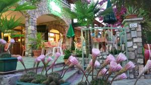 Zahrada ubytování Hotel Augusta Garnì