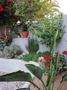 Vonkajšia záhrada v ubytovaní Dimitris' & Valentina's Home