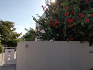 Vonkajšia záhrada v ubytovaní Dimitris' & Valentina's Home