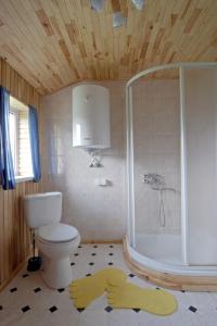 een badkamer met een toilet, een douche en een tapijt bij Kurzemes pērle in Sepene
