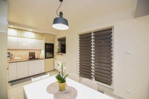 Kuchyňa alebo kuchynka v ubytovaní Apartament Wróbelkowo