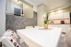 Kuchyňa alebo kuchynka v ubytovaní Apartament Wróbelkowo